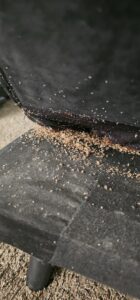 bed bug debris in a chair in Joplin