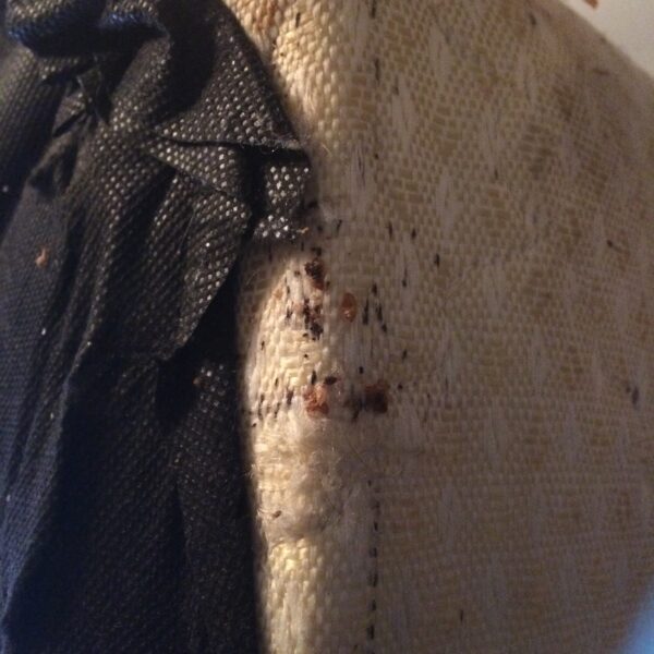 bed bugs on a box spring mattress