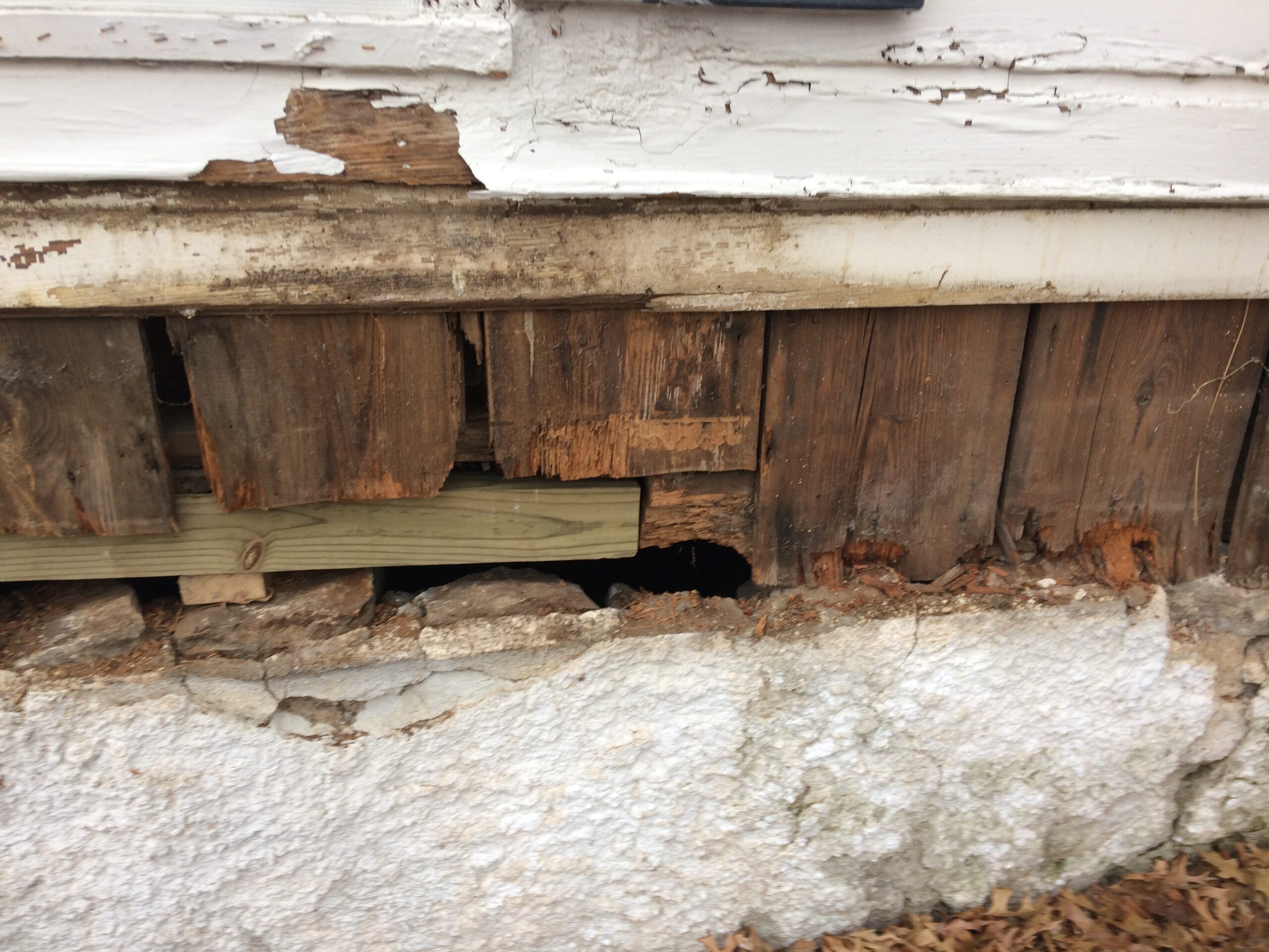 termite damage from outside home