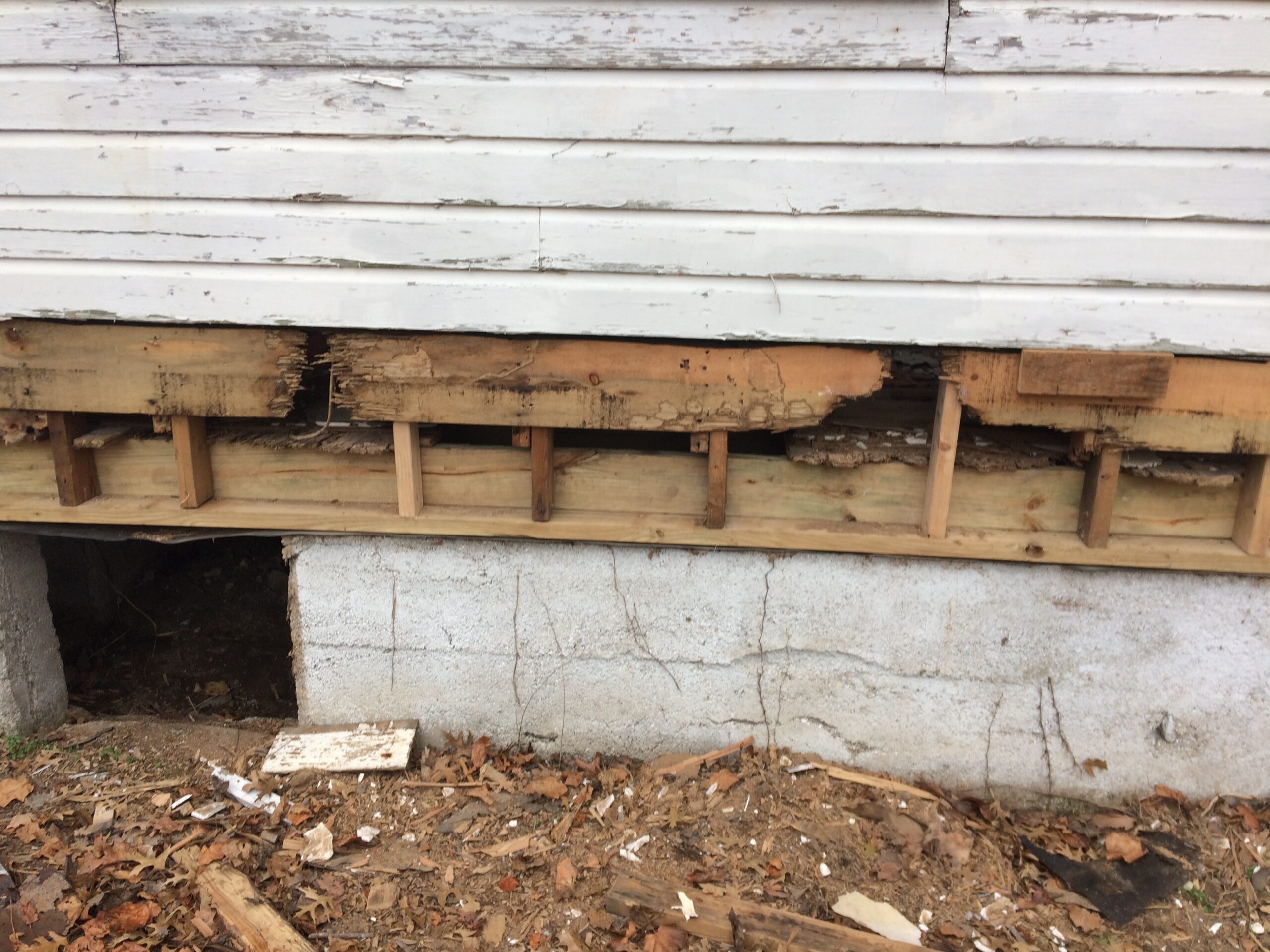termite damage from foundation up