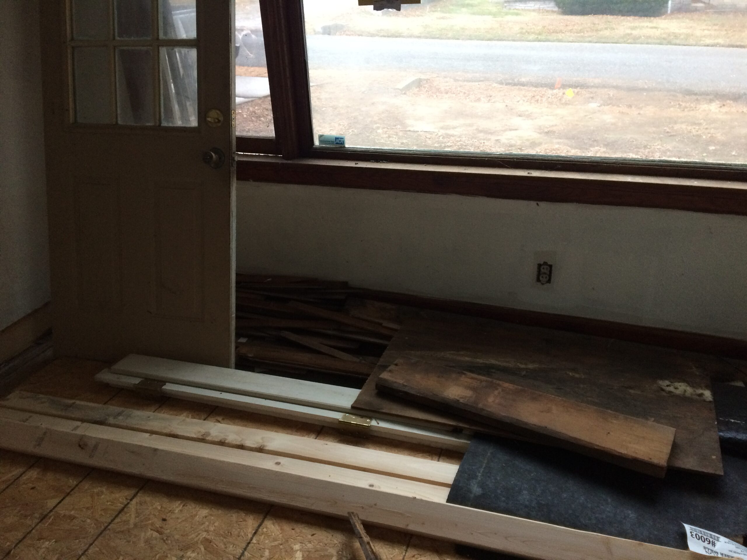 termites in the living area of joplin home