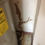 termites in a mud tube in webb city through slab floor