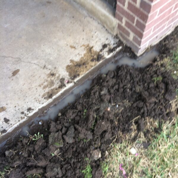 trenching a yard for termites