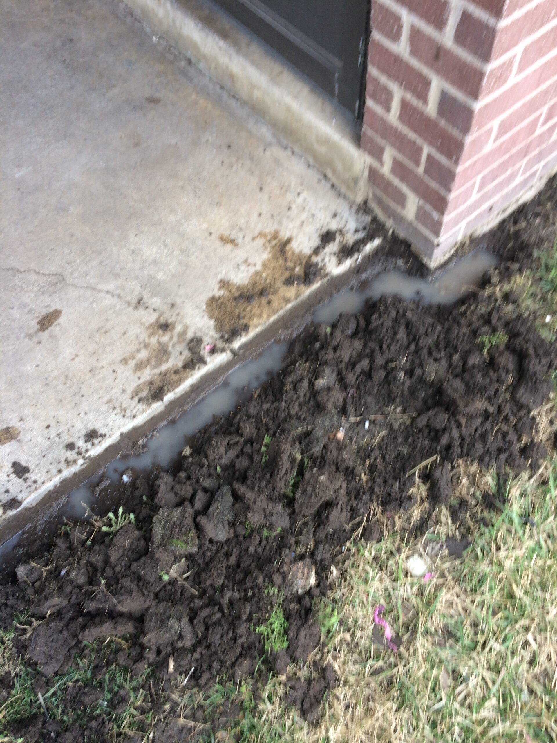 trenching a yard for termites