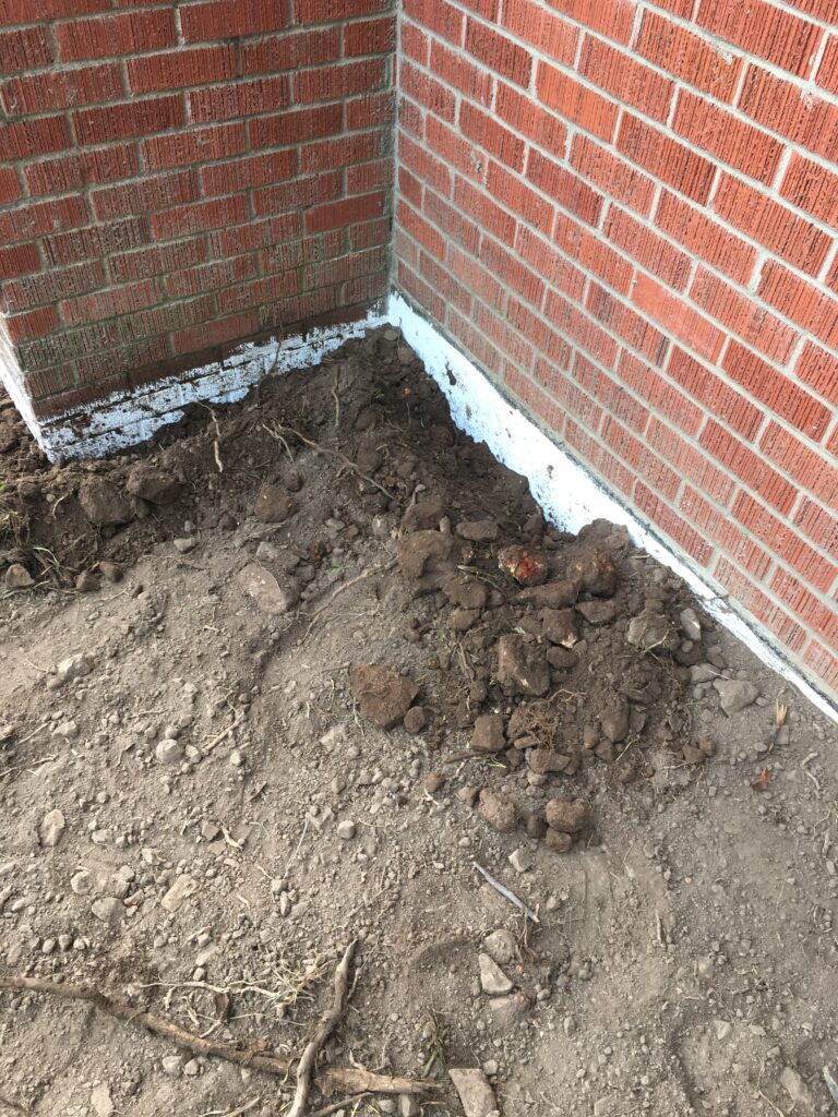 termite activity around a fireplace outside