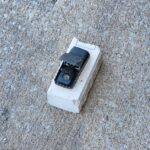 jaws of death snap trap for mice