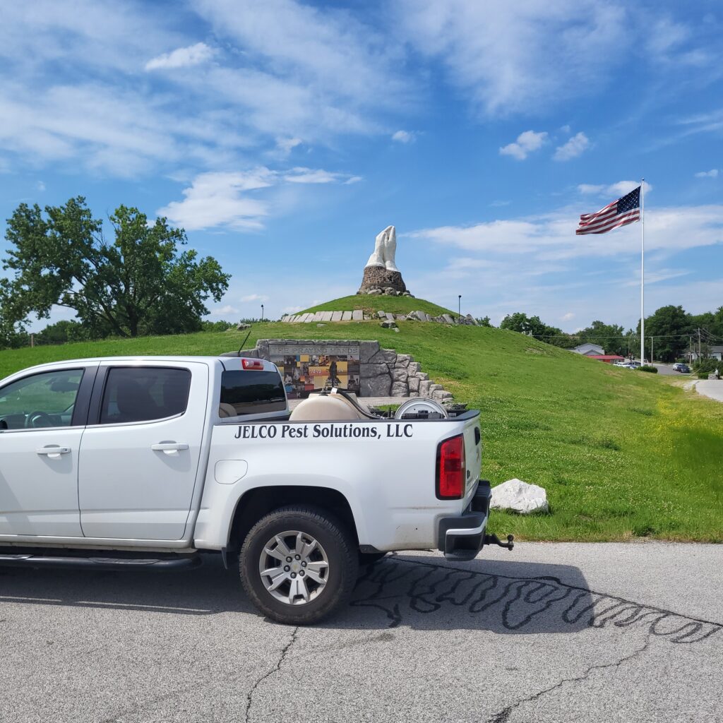 pest control in webb city