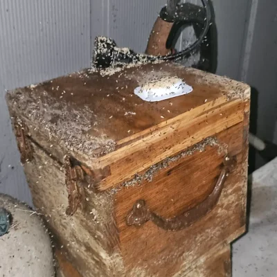 more ants swarming in Baxter springs ks