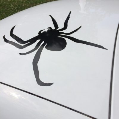 a spider decal on a truck
